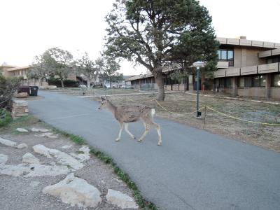 リムトレイルからの建物