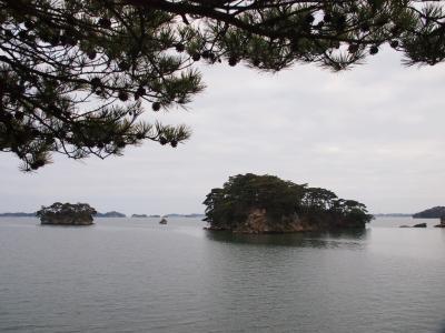 ほどよい広さで散策にぴったり