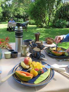 garden breakfast