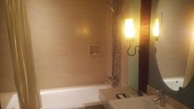 ハンドシャワーでお湯も問題なく出ます