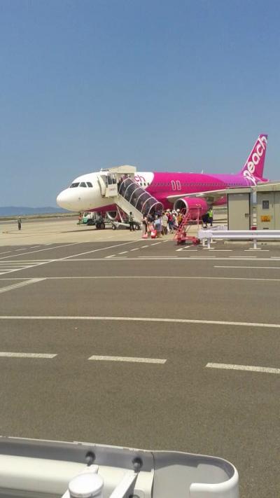 低価格が全てです。