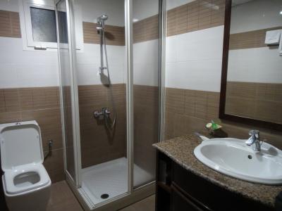 新しく機能的なシャワールーム