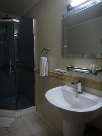 ダブルルームはシャワーブースのみ。タブ付きの部屋もあり