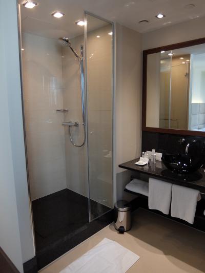 洗面所・シャワーブースと部屋の間に仕切りがありません！