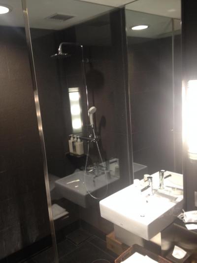 清潔なのに、排水口がちょっと残念