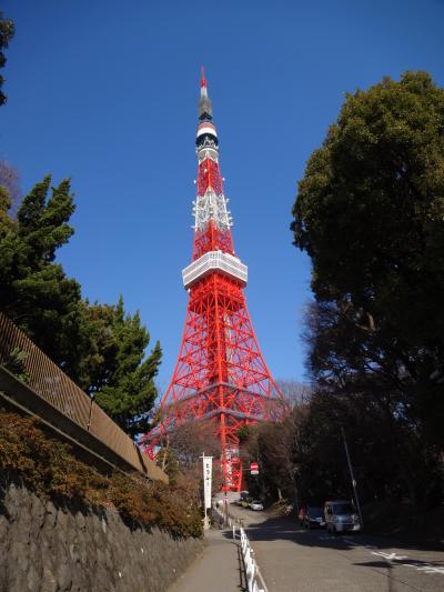 親しみ深い東京のシンボル