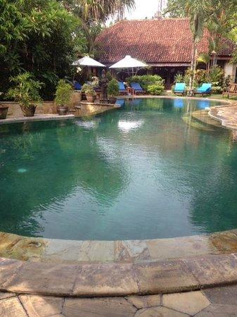 お部屋の前のサンベッドから