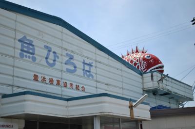 南知多の新鮮な魚介がいっぱい