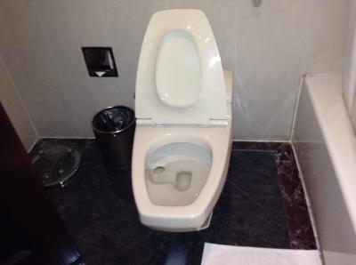 普通のトイレ。