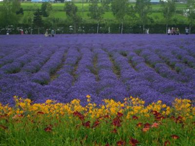 素晴らしい景色に癒されます！