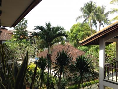 バルコニーからのガーデンビュー