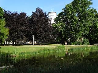 向かいの公園から