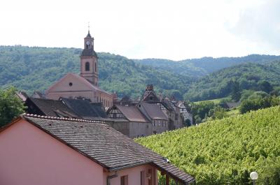 部屋から見る、旧市街地とぶどう畑です