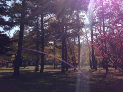 カップルにもファミリーにも！施設が充実していてＣＰよし