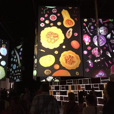 ミラノ　エキスポ　2015年！！