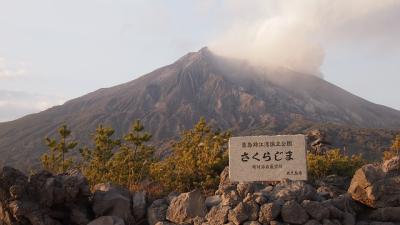 遊歩道を散策しながら火山を眺める