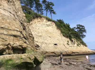 飲食する時は、上空のトンビに注意