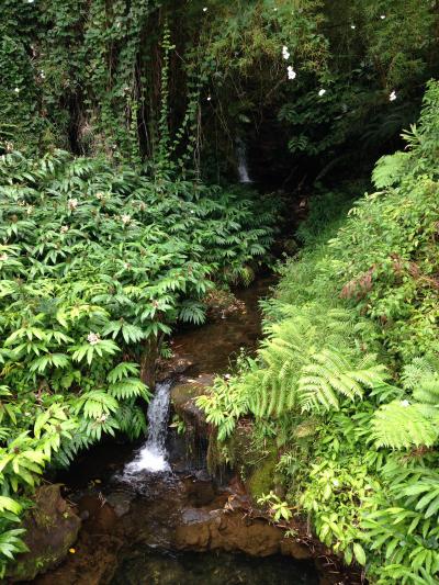 ハワイ島の美しい滝・遊歩道の景観も楽しい