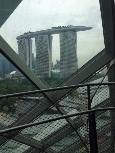 クラウドフォレスト