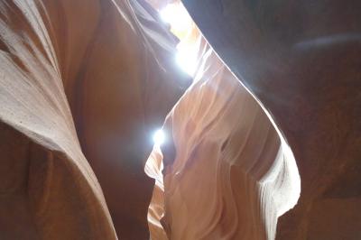 人気で待ちが大変