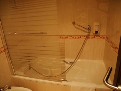 このシャワーが全く使い物にならず。