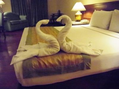 バスタオルで作られた白鳥がお出迎え。