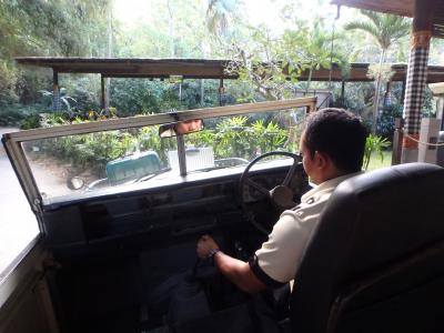 チェックインする前から動物が♡