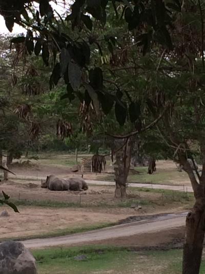 部屋からの眺め