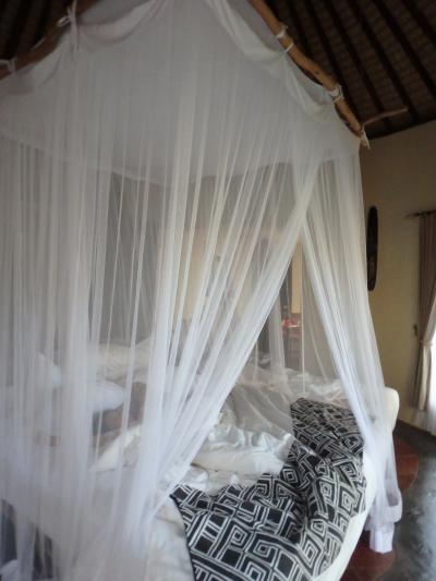 天蓋ベッド　まぁ虫除けですが