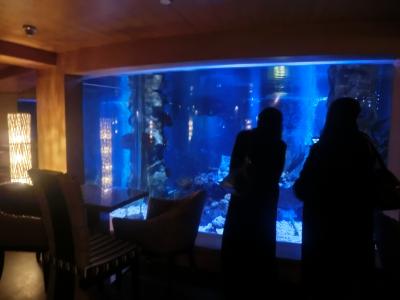 ロビー奥、レストラン街へ抜けるとあるミニミニ水族館