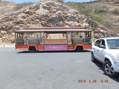 グリーンライン