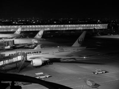 スタッフの皆さんがとても親切！！