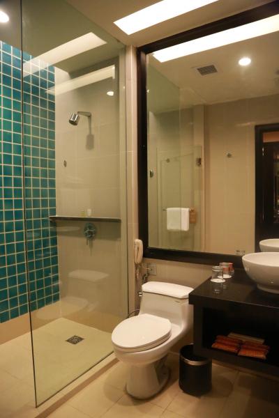 バスタブはありませんが、ガラスも毎日きれいにしてありました