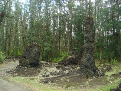 自然が造り出したアート