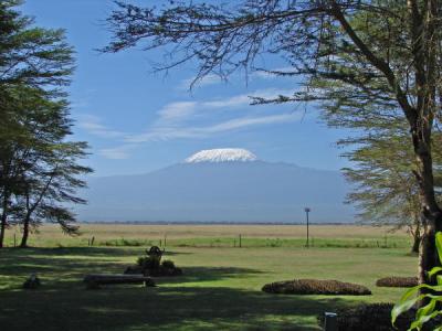 the kili from the garden