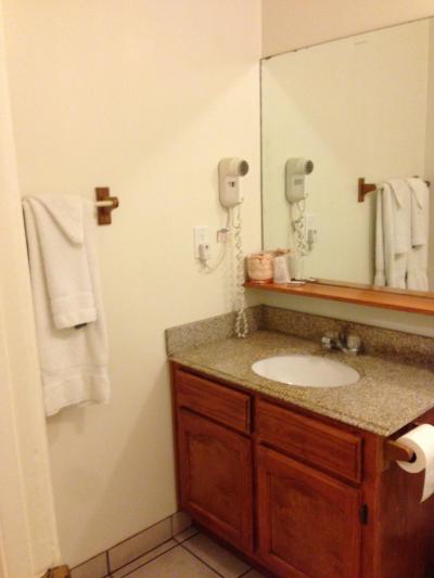 写真には写ってませんが、バスタブもあります。