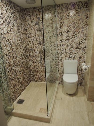 バスルームに入ってすぐにシャワーブースとトイレです