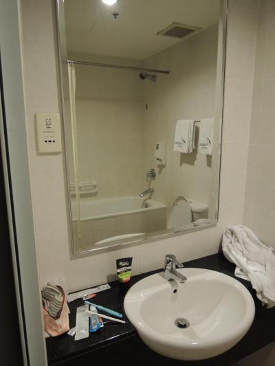 いたって普通、コンディショナーは要持参