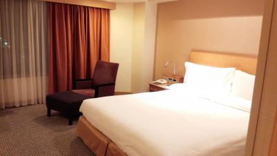 ちょっと広めのビジネスホテルという感じかな