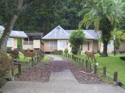 客室に露天風呂付でした。
