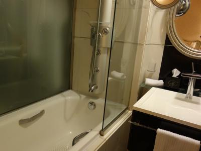 バスルーム。シャワーが先進的