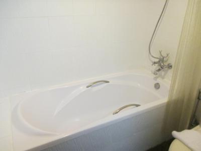 バスタブが付いてます。