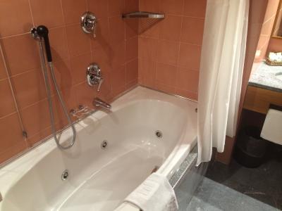 ミラノ中央駅から近い立派なホテル