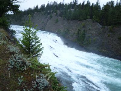 ボウ川沿いの散歩がお奨め