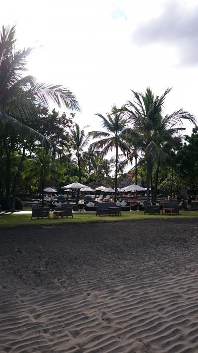 浜辺からホテルのプールサイドを臨む