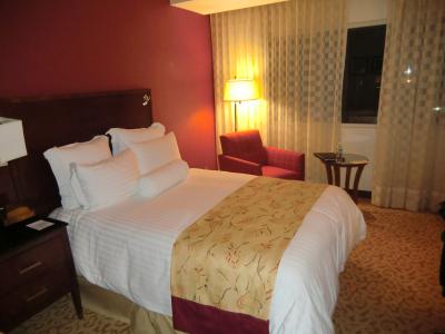 シックで広い部屋