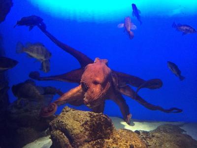 久しぶりに訪問。変わってました！