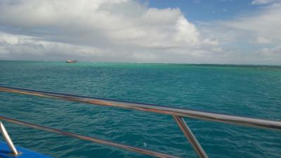 透明な海での体験ダイビング最高です。