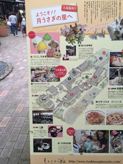 うさぎがいっぱい(^^)