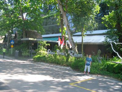 うっそうとしてます